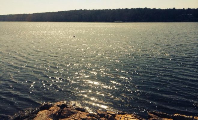 Brilliant sunshine dances across Penobscot bay.