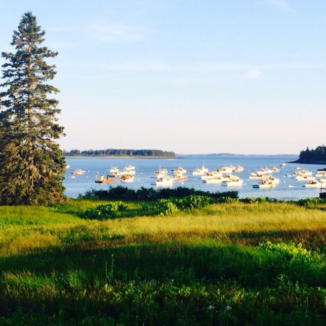Owls Head harbor.