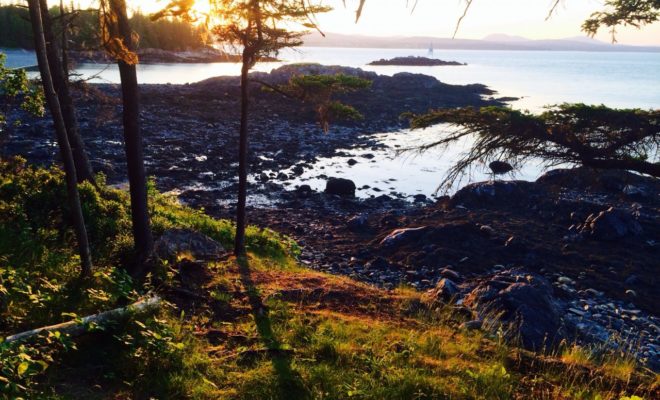 The light in Maine is truly hard to describe. You have to see it in person.