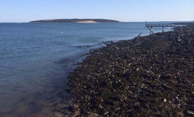 High pressure holds over Mosquito Harbor.