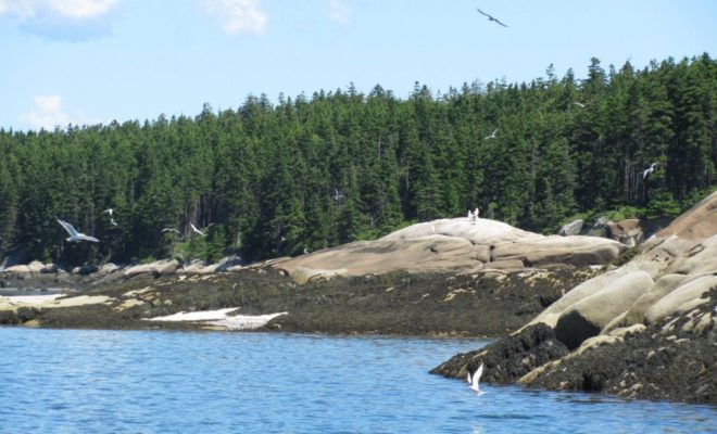 Beautiful day on the water, just south of Vinalhaven