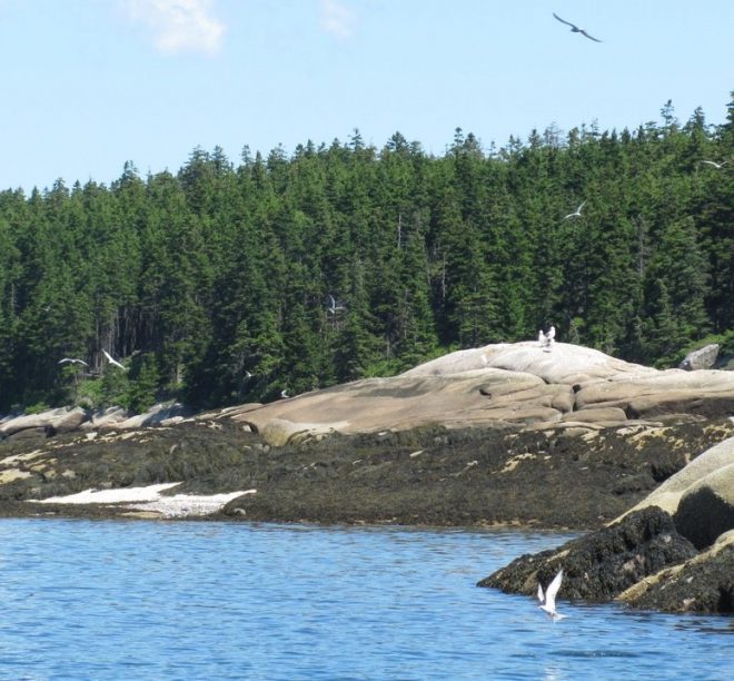 Beautiful day on the water, just south of Vinalhaven