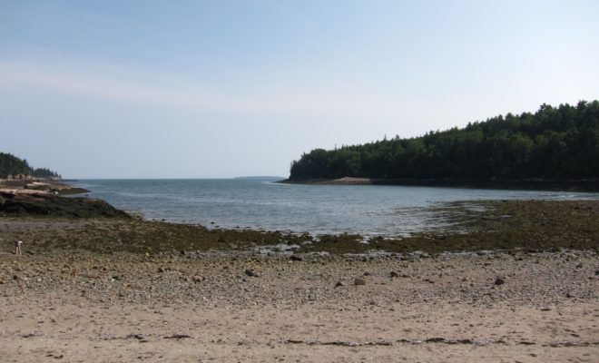 Otter Cove, part of the Downeast Fisheries Trail, was once lined with fish houses that supported local families.