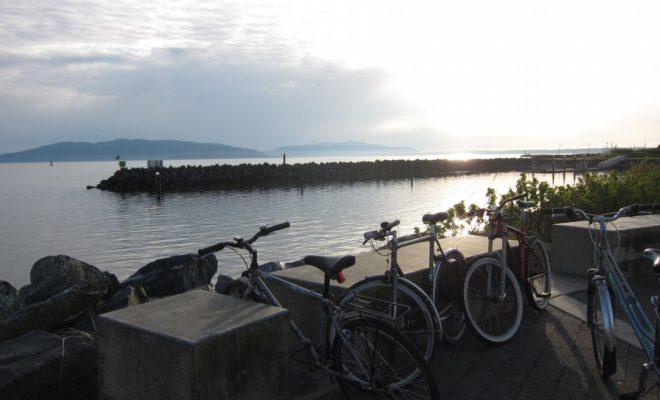 Tide Chart Bellingham Wa