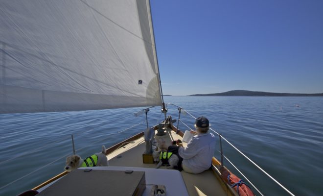 Isle Au Haut draws nearer. A good sail is like a good book. Hard to put down.