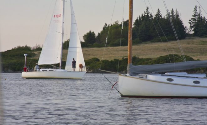 A boat sailing in.