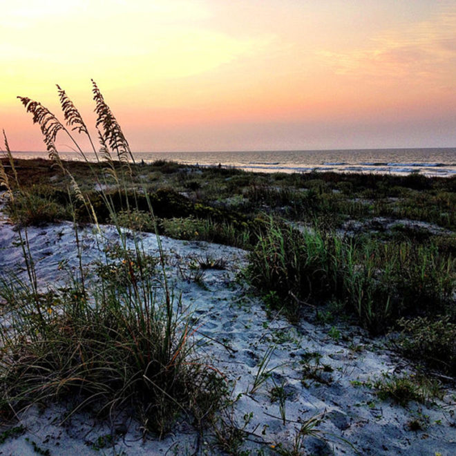 Kiawah Island (wikimedia commons)