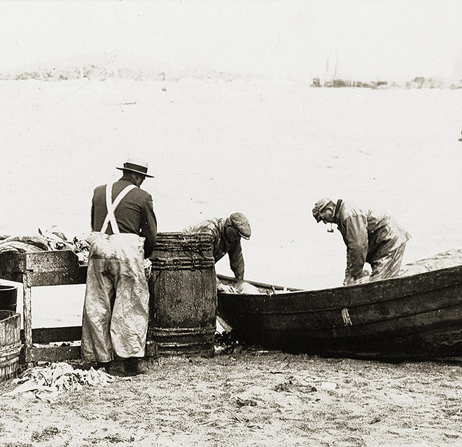 Monhegan Island, Maine — Fishermen cleaning catch out of a dory on the beach. From a postcard