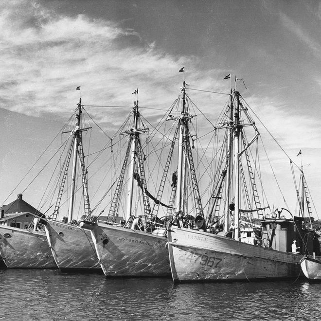 COLUMBIA,PILGRIM, PURITAN, and YANKEE, Eastern Rig draggers/seiners owned by Capt. Ben Pine.