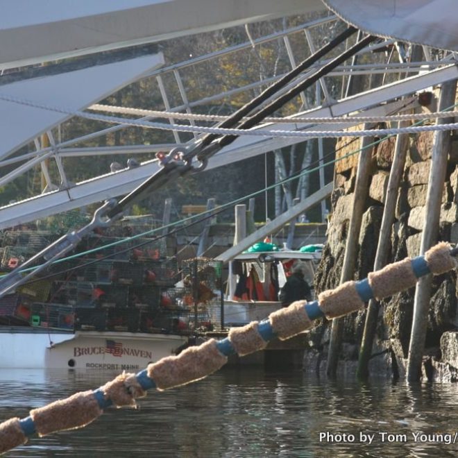 The view under a schooner's bow, as a lobsterboat unloads its traps.
