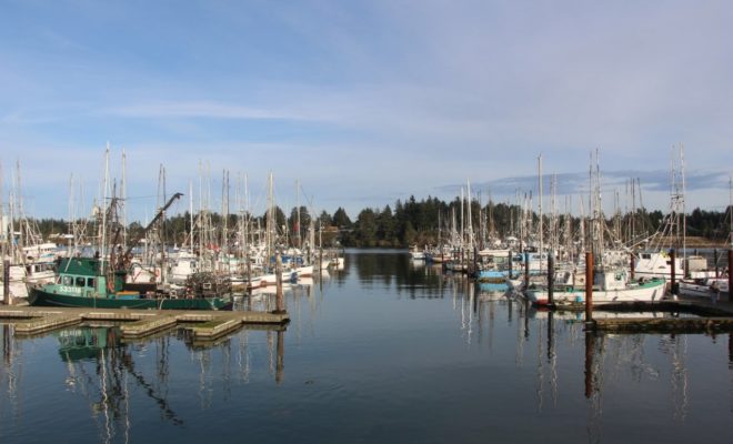 Charleston, Oregon: "Cute coastal charm" J. Krossman