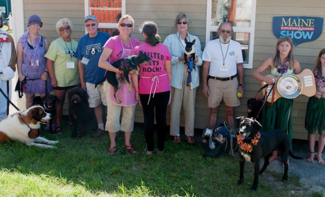 The 2013 Boatyard Dog Competitors. World Champion Ruffles is third pooch from the left. Photo by Debra Bell.