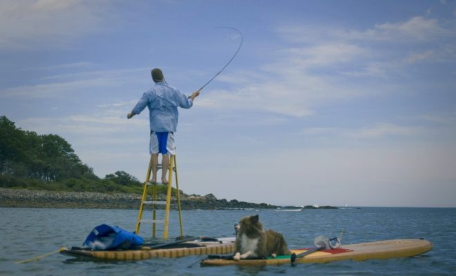 Image courtesy of Cottrell Boatbuilding.