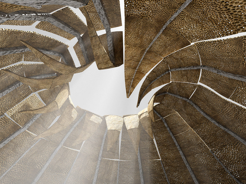 Murmur interior view