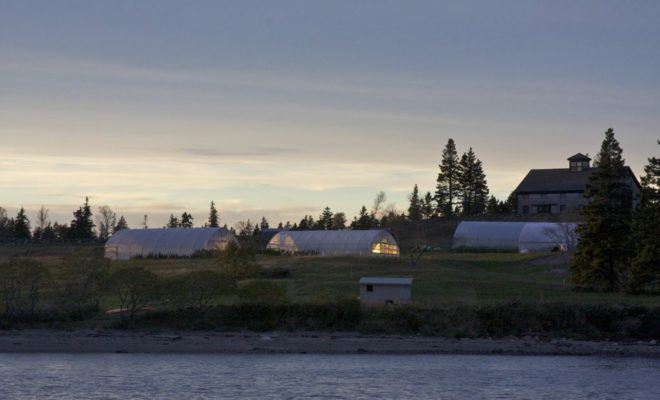 As the October sun sets on Turner Farm, the low sun fills the greenhouses.