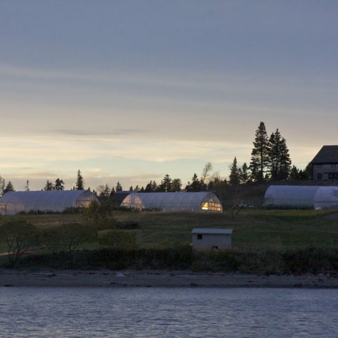 As the October sun sets on Turner Farm, the low sun fills the greenhouses.