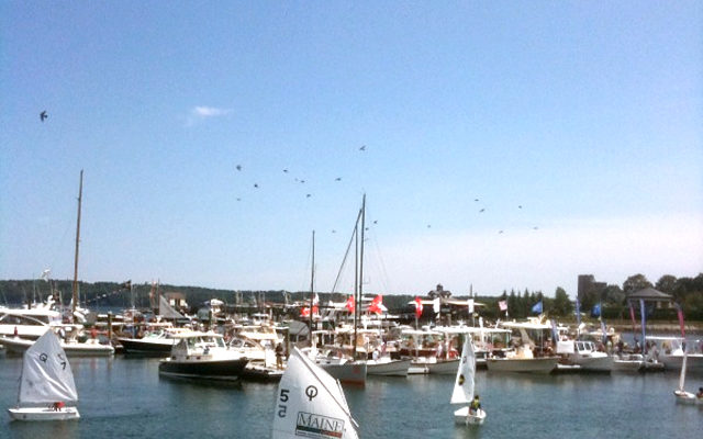 Young mariners from Rockland Community Sailing perform acrobatics in Optimist prams in the inner harbor.