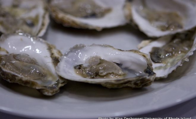 A plate of oysters at the Baird Symposium on Sustainable Seafood.