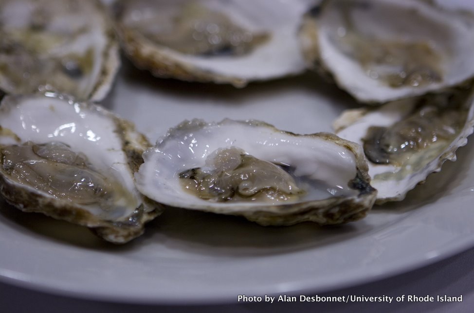 A plate of oysters at the Baird Symposium on Sustainable Seafood.