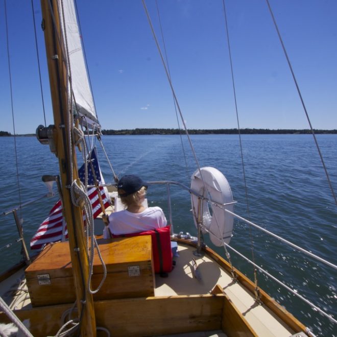 From afar, North Haven Island is a distant patch of greens floating in a field of blues.