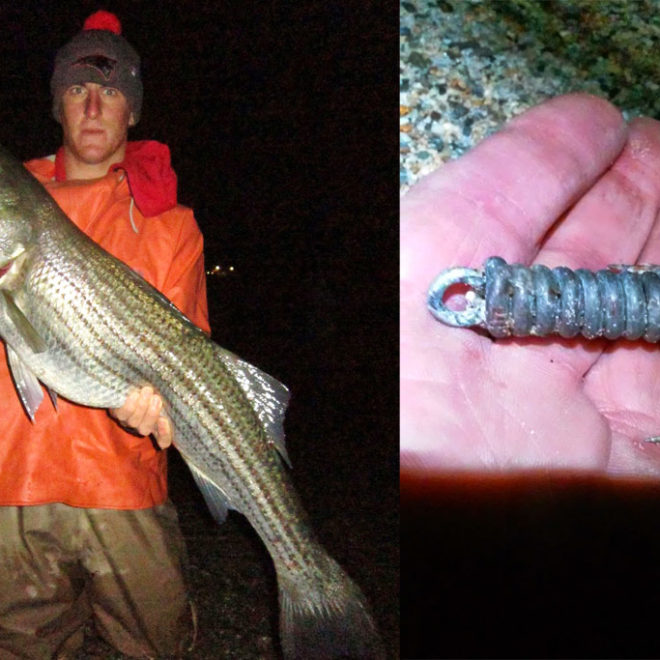 A snagger has proven to be a key piece of tackle for every striper fisherman, especially in late fall.