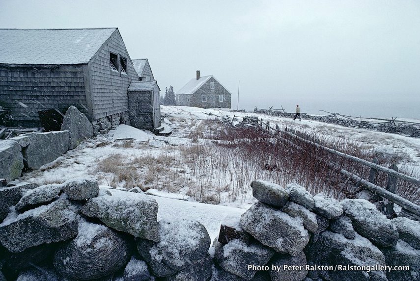 Island Farm | Sightings | limited edition (17" x 22")