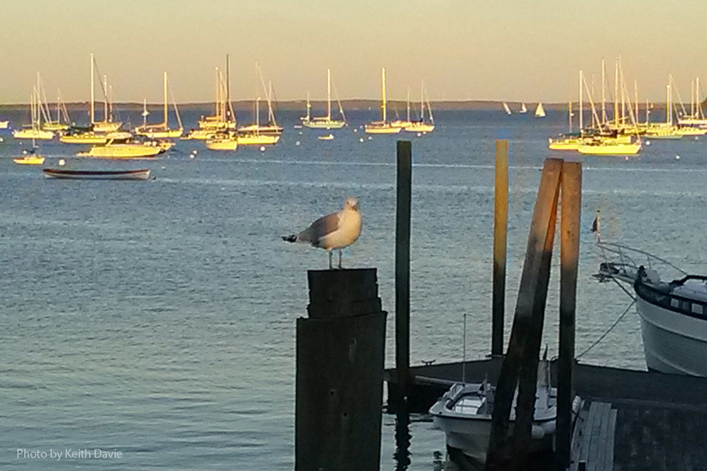 Sailboats in Rockland Harbor in Rockland, Maine Stock Photo - Alamy