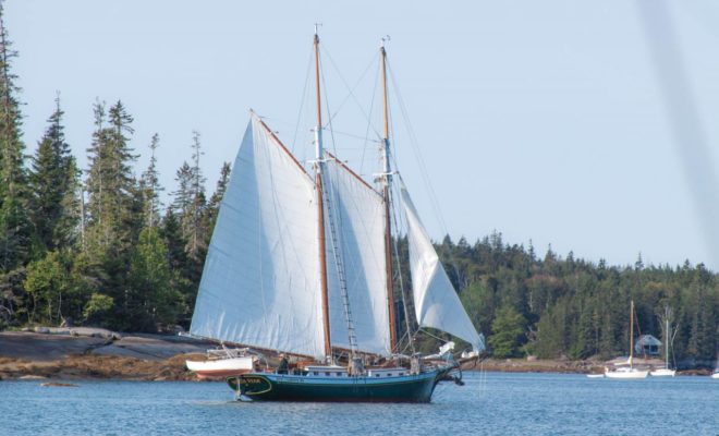 The small crew raises anchor and sails and begins sailing out of Seal Bay.
