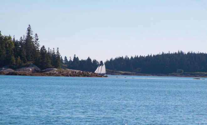 The schooner slips between the rocks and Fir trees, and is gone.