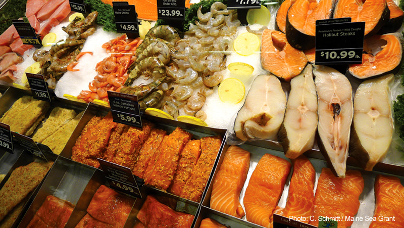 The new Maine Seafood Guide provides information on Maine seafood species, a guide to fishing methods and gear, and more.