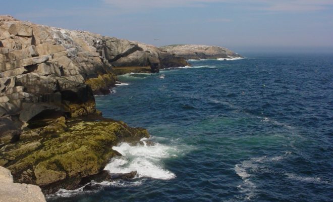 Seal Island, part of the Maine Coastal Islands National Wildlife Refuge
