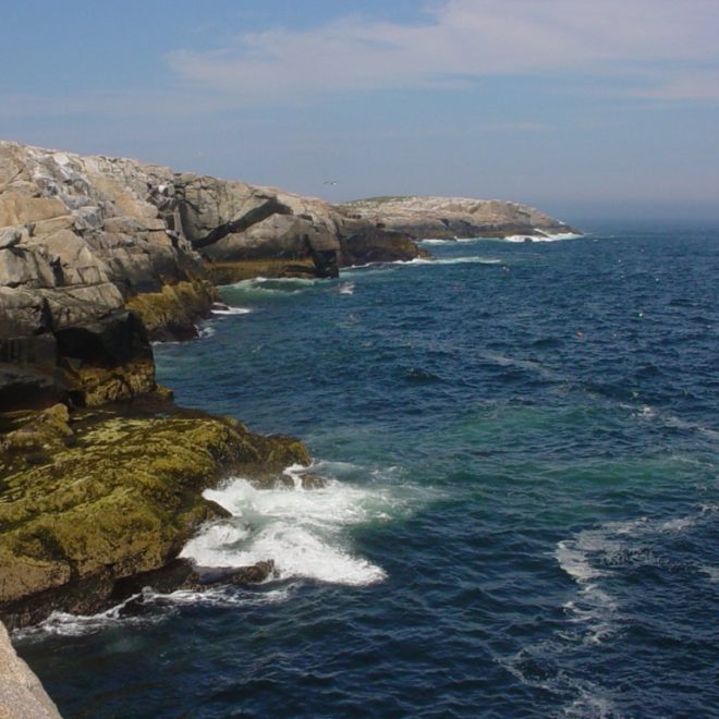 Seal Island, part of the Maine Coastal Islands National Wildlife Refuge