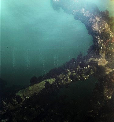 A submerged cannon that a team of divers say is one of the remains of the U.S.S. Revenge