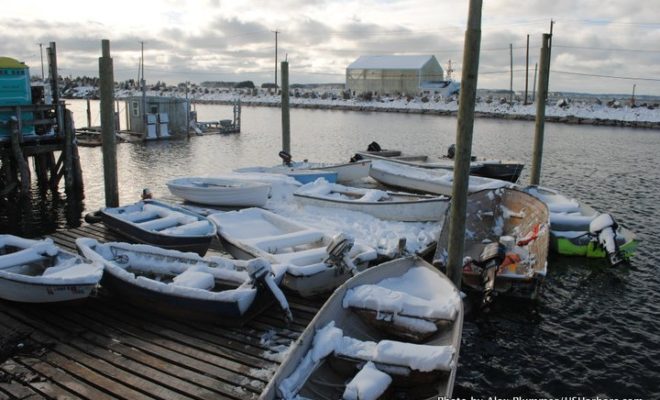 Snow-covered skiffs on Jonesport's working waterfront.