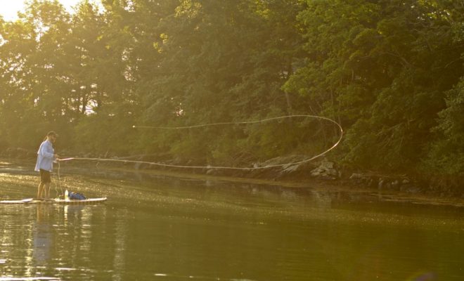 The Maine Boats, Homes & Harbors show will showcase a variety of Maine-made products. Image by Kyle Schaefer at Tidal Roots.