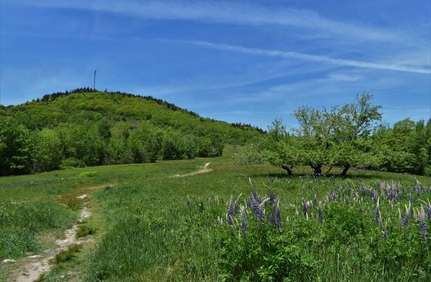Blue Hill.