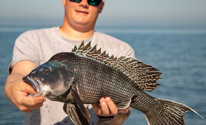 Black Sea Bass Fishing with Goose Hummock
