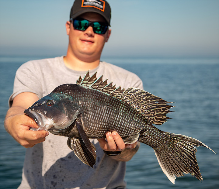 Black Sea Bass Fishing with Goose Hummock