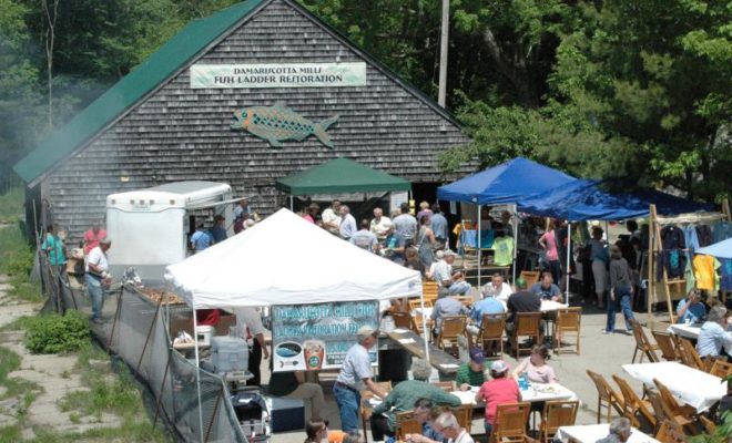 Damariscotta Alewife Festival