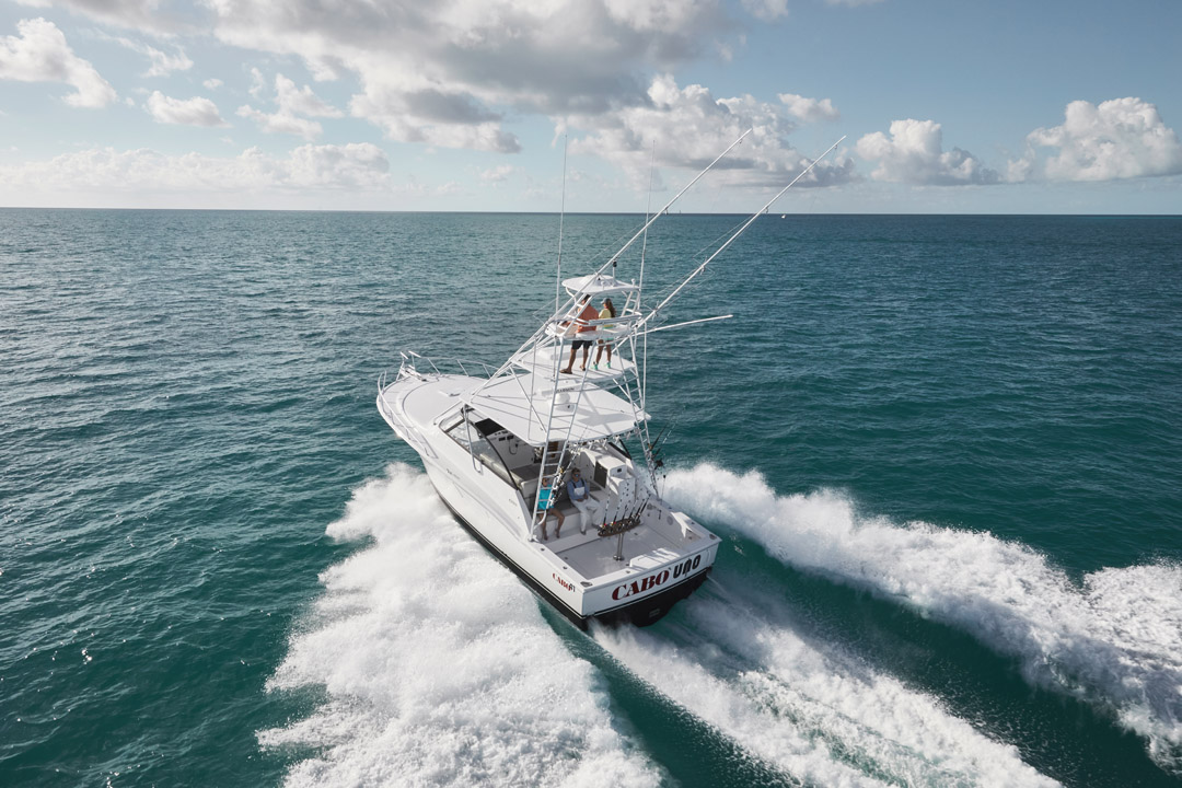 cabo sport fishing yachts
