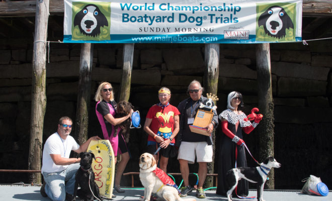 The reigning World Champion, Zola the Wonder Dog (shown) urges canines and their people to put a paw into the ring by July 1 for a chance to compete in the 17th annual trials.