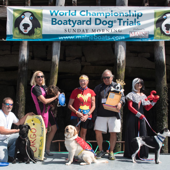The reigning World Champion, Zola the Wonder Dog (shown) urges canines and their people to put a paw into the ring by July 1 for a chance to compete in the 17th annual trials.
