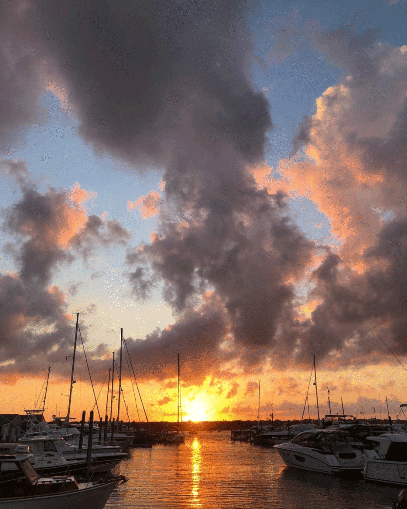 south wharf yacht yard & marina