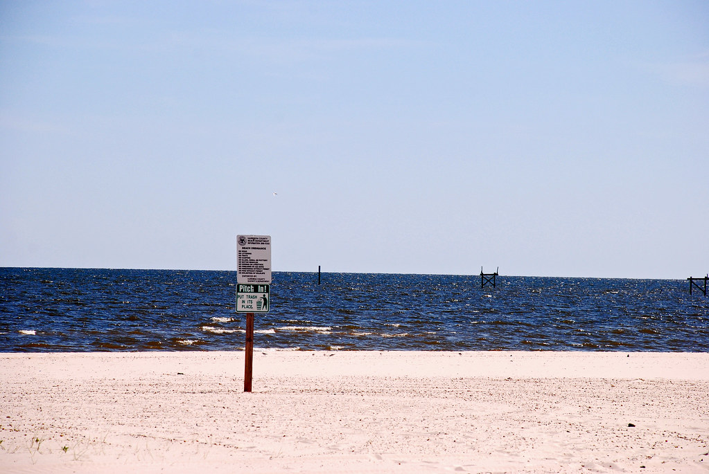 Mississippi mainland beaches are currently closed due to dangerous algae.