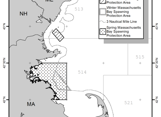 Gulf of Maine Cod and Haddock regulations have changed.