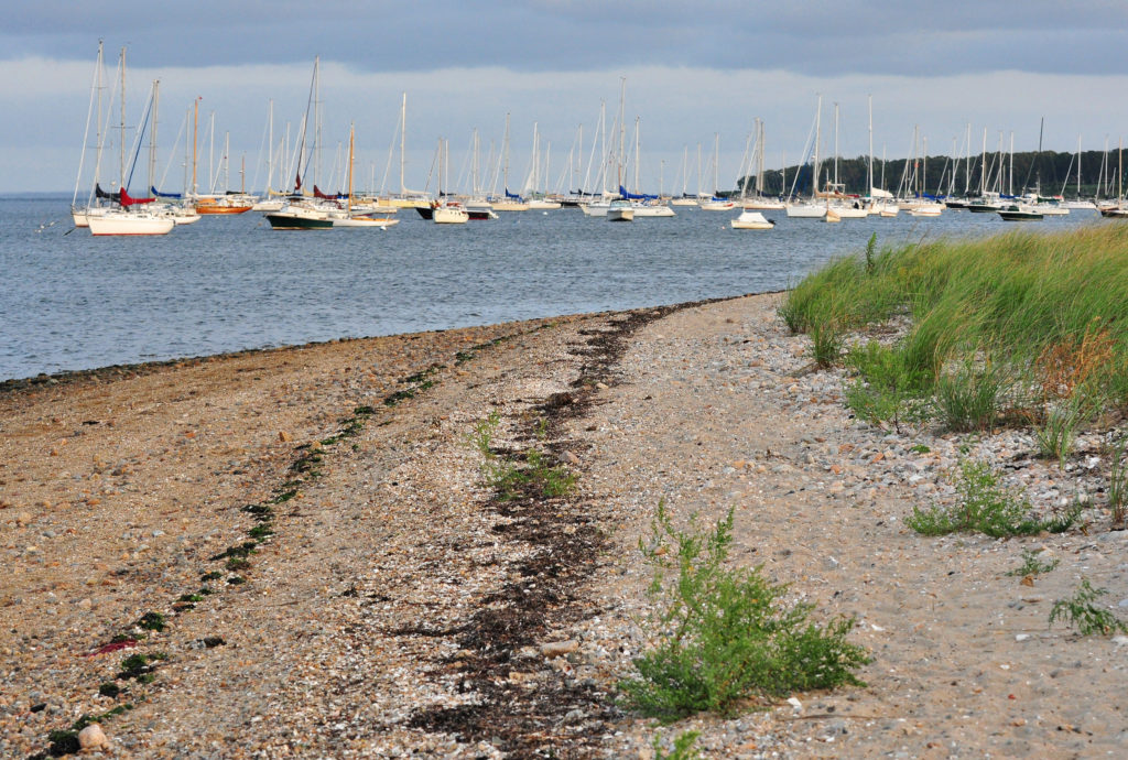 Padanaram Harbor