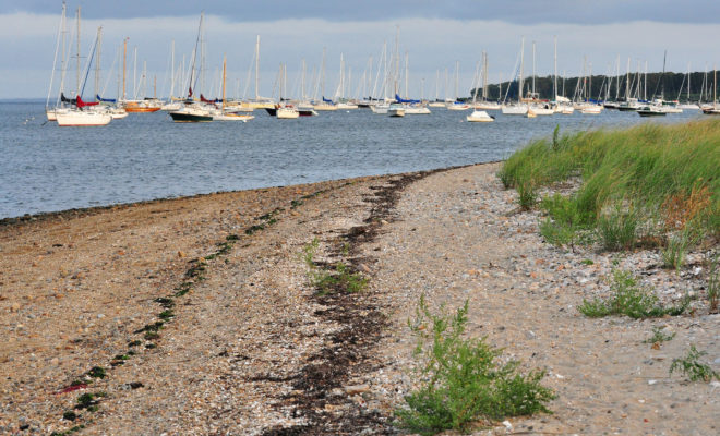 Padanaram Harbor