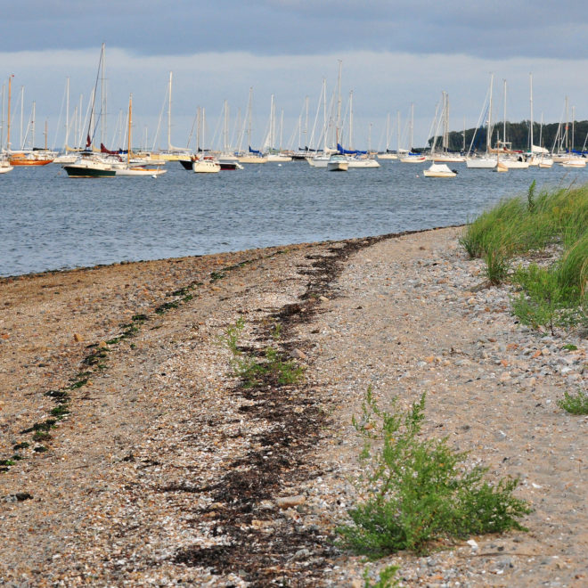 Padanaram Harbor