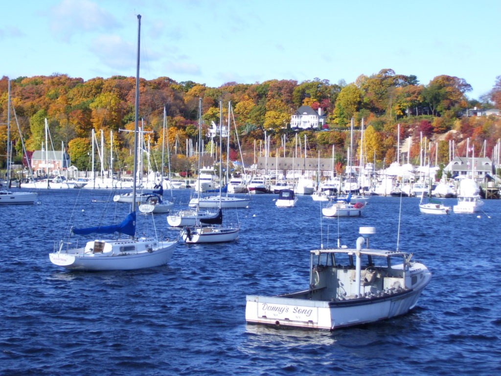 Unpermitted boats will be issued a $250 violation if they don't submit mooring permit applications.