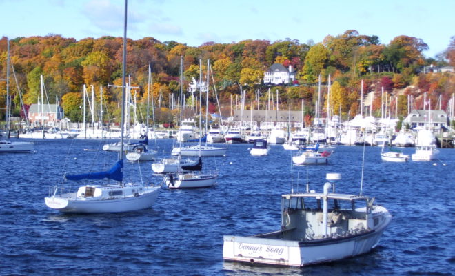 Unpermitted boats will be issued a $250 violation if they don't submit mooring permit applications.